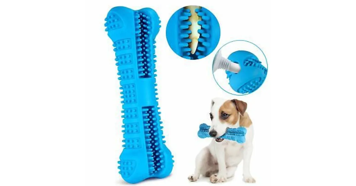 Dental Chews and Toys