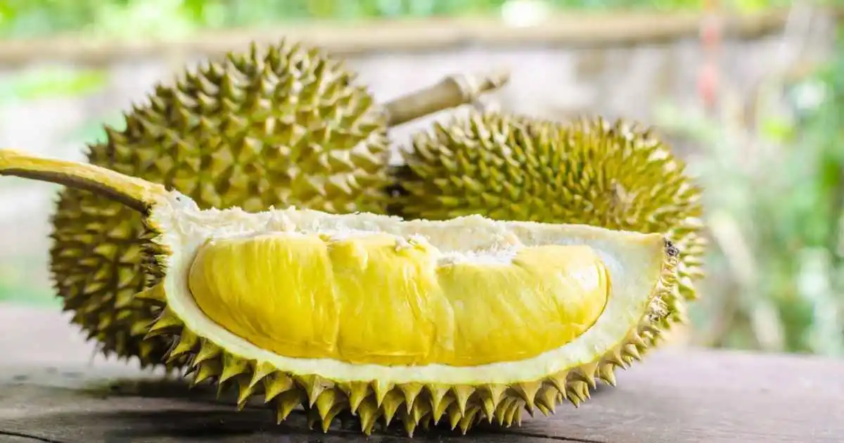 Durian